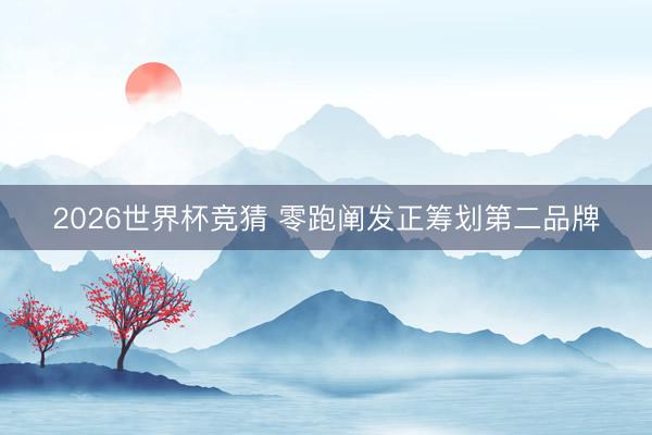 2026世界杯竞猜 零跑阐发正筹划第二品牌
