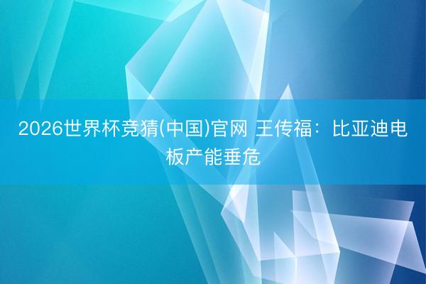 2026世界杯竞猜(中国)官网 王传福：比亚迪电板产能垂危
