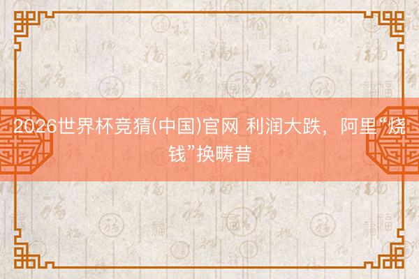 2026世界杯竞猜(中国)官网 利润大跌，阿里“烧钱”换畴昔