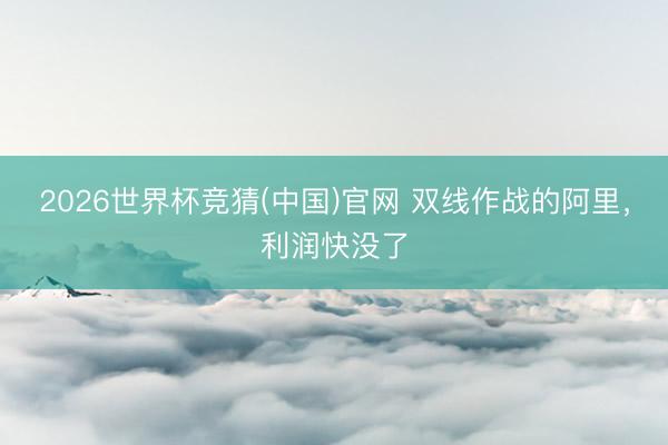 2026世界杯竞猜(中国)官网 双线作战的阿里，利润快没了