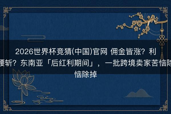 2026世界杯竞猜(中国)官网 佣金皆涨？利润腰斩？东南亚「后红利期间」，一批跨境卖家苦恼除掉