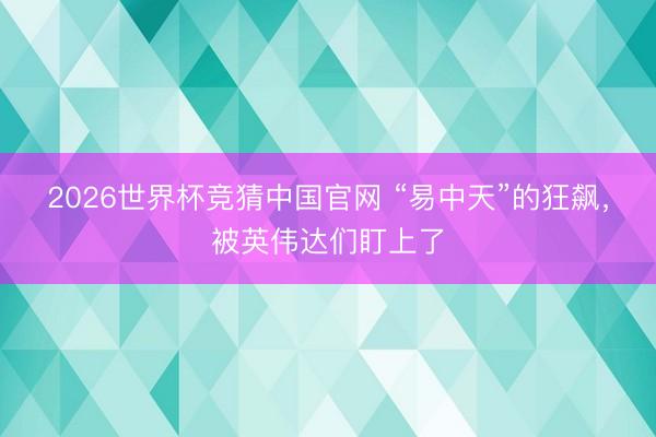 2026世界杯竞猜中国官网 “易中天”的狂飙，被英伟达们盯上了