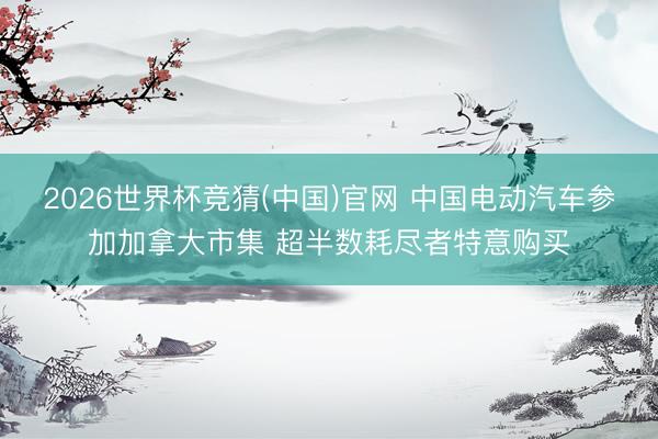 2026世界杯竞猜(中国)官网 中国电动汽车参加加拿大市集 超半数耗尽者特意购买