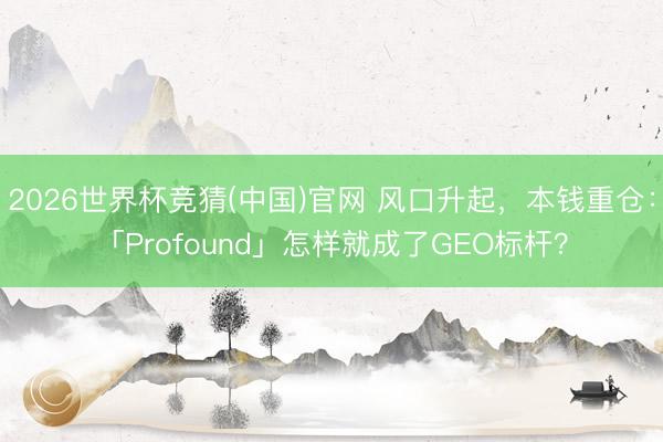2026世界杯竞猜(中国)官网 风口升起，本钱重仓：「Profound」怎样就成了GEO标杆？