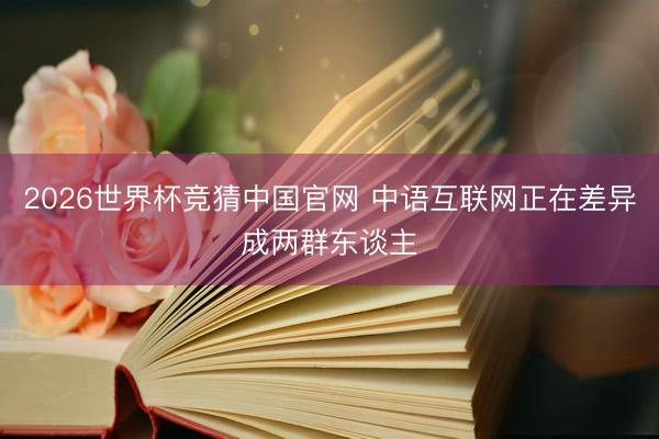 2026世界杯竞猜中国官网 中语互联网正在差异成两群东谈主