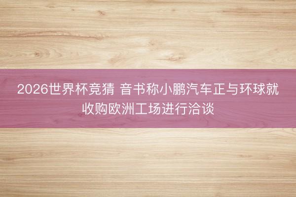 2026世界杯竞猜 音书称小鹏汽车正与环球就收购欧洲工场进行洽谈
