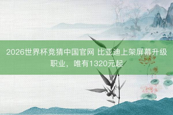 2026世界杯竞猜中国官网 比亚迪上架屏幕升级职业，唯有1320元起