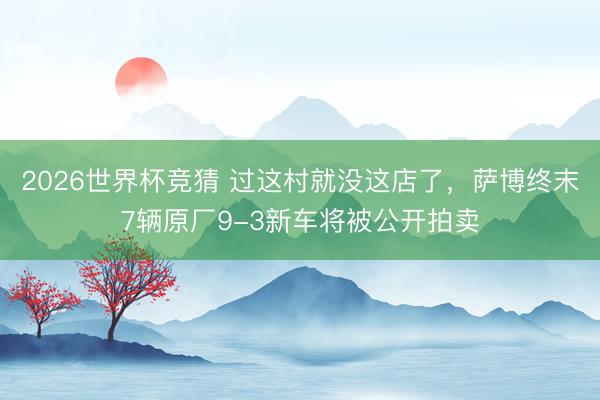 2026世界杯竞猜 过这村就没这店了，萨博终末7辆原厂9-3新车将被公开拍卖