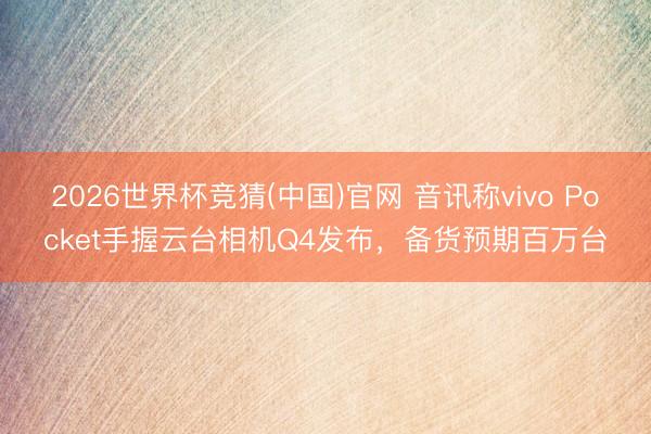 2026世界杯竞猜(中国)官网 音讯称vivo Pocket手握云台相机Q4发布，备货预期百万台