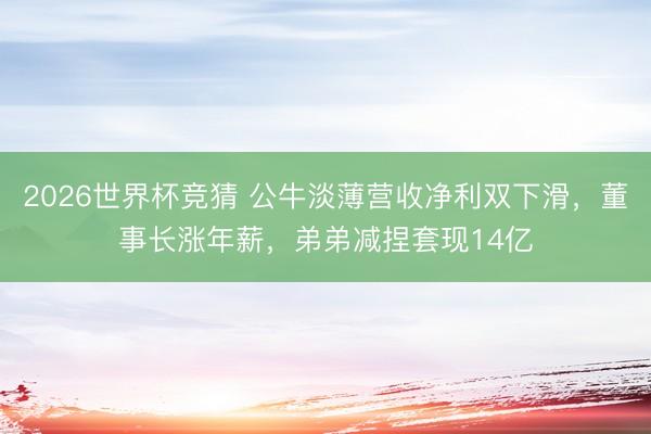 2026世界杯竞猜 公牛淡薄营收净利双下滑，董事长涨年薪，弟弟减捏套现14亿