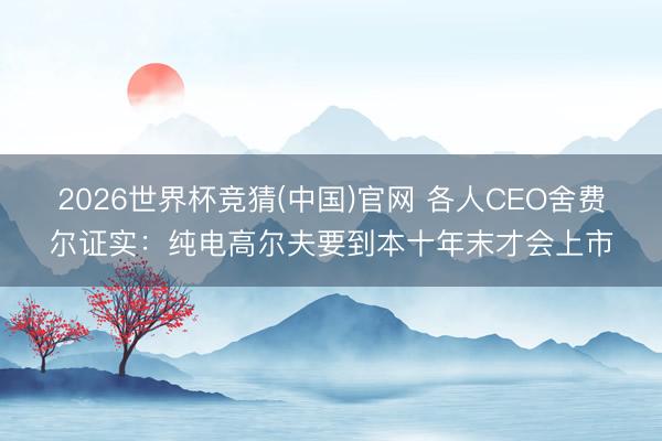 2026世界杯竞猜(中国)官网 各人CEO舍费尔证实：纯电高尔夫要到本十年末才会上市
