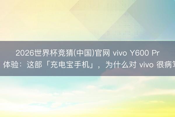 2026世界杯竞猜(中国)官网 vivo Y600 Pro 体验：这部「充电宝手机」，为什么对 vivo 很病笃