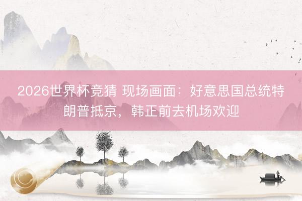 2026世界杯竞猜 现场画面：好意思国总统特朗普抵京，韩正前去机场欢迎