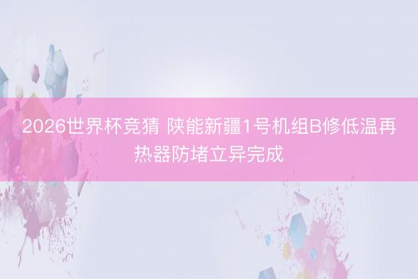2026世界杯竞猜 陕能新疆1号机组B修低温再热器防堵立异完成