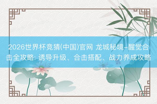2026世界杯竞猜(中国)官网 龙城秘境-醒觉合击全攻略: 诱导升级、合击搭配、战力养成攻略