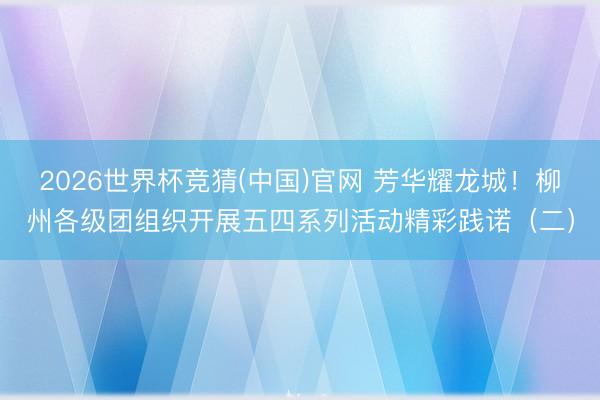 2026世界杯竞猜(中国)官网 芳华耀龙城！柳州各级团组织开展五四系列活动精彩践诺（二）