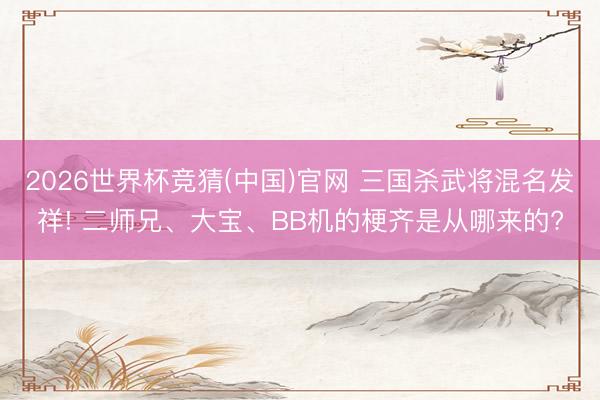 2026世界杯竞猜(中国)官网 三国杀武将混名发祥! 二师兄、大宝、BB机的梗齐是从哪来的?
