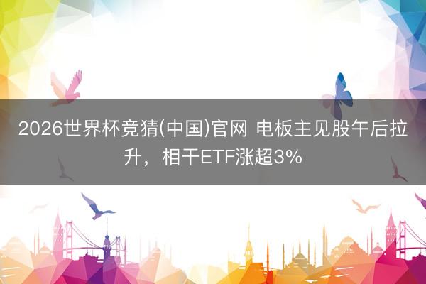 2026世界杯竞猜(中国)官网 电板主见股午后拉升，相干ETF涨超3%