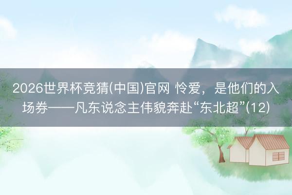 2026世界杯竞猜(中国)官网 怜爱，是他们的入场券——凡东说念主伟貌奔赴“东北超”(12)