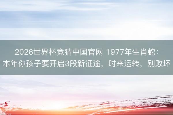 2026世界杯竞猜中国官网 1977年生肖蛇：本年你孩子要开启3段新征途，时来运转，别败坏