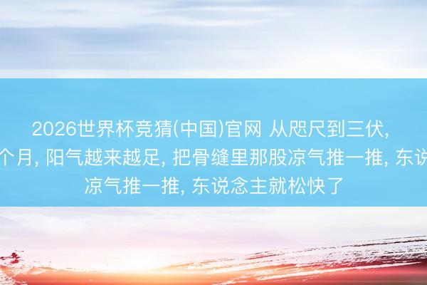2026世界杯竞猜(中国)官网 从咫尺到三伏, 坚合手吃它一个月, 阳气越来越足, 把骨缝里那股凉气推一推, 东说念主就松快了
