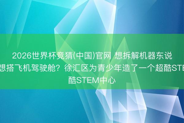 2026世界杯竞猜(中国)官网 想拆解机器东说念主？想搭飞机驾驶舱？徐汇区为青少年造了一个超酷STEM中心