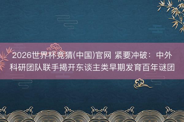 2026世界杯竞猜(中国)官网 紧要冲破：中外科研团队联手揭开东谈主类早期发育百年谜团