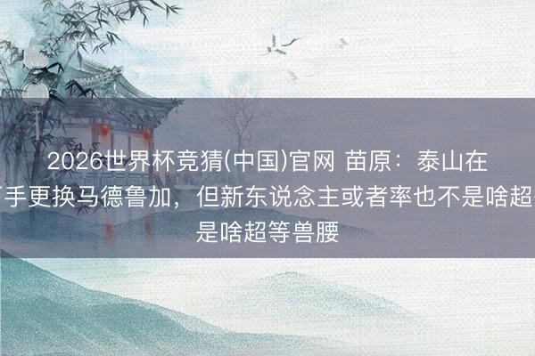 2026世界杯竞猜(中国)官网 苗原:泰山在入部下手更换马德鲁加,但新东说念主或者率也不是啥超等兽腰