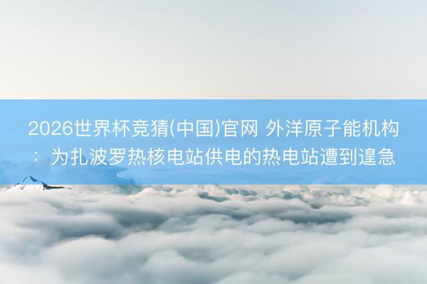 2026世界杯竞猜(中国)官网 外洋原子能机构:为扎波罗热核电站供电的热电站遭到遑急