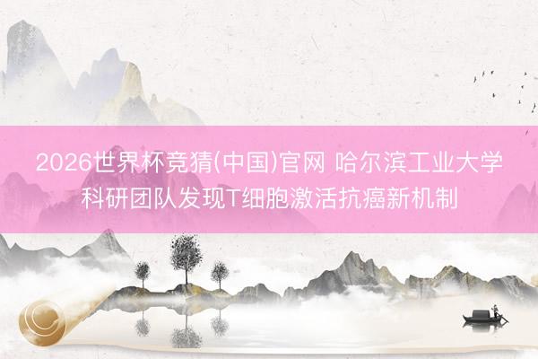 2026世界杯竞猜(中国)官网 哈尔滨工业大学科研团队发现T细胞激活抗癌新机制